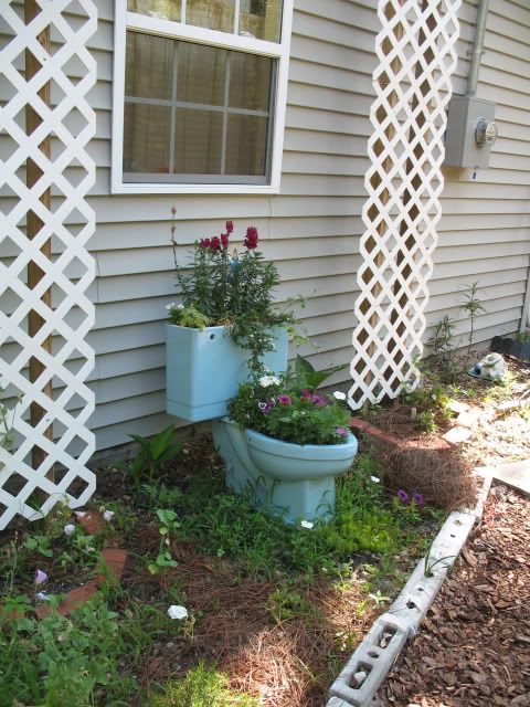 toilet and trellises