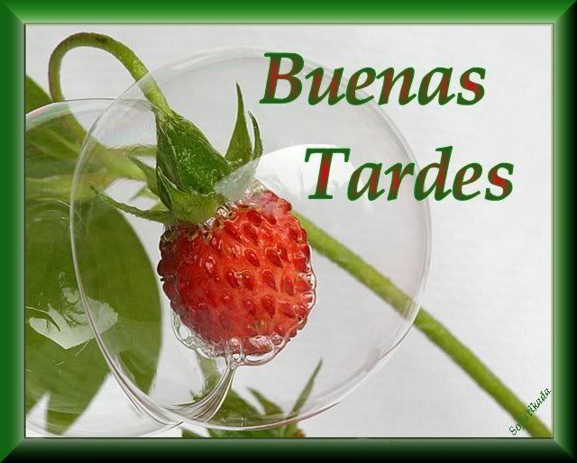 base1btardes.jpg buenas tardes image by sofistikada_bucket
