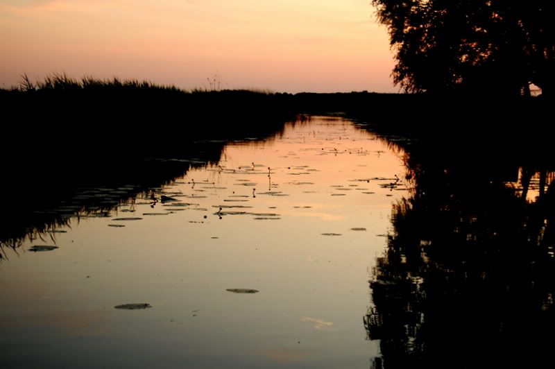 Fotografie