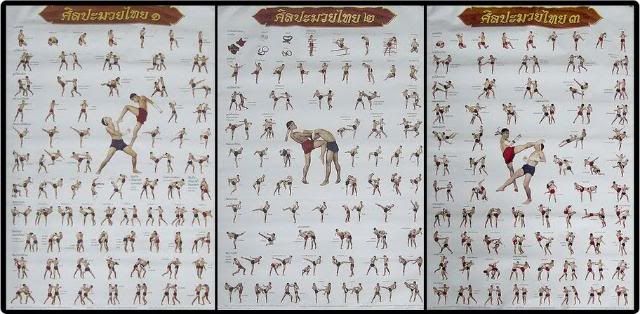 brazilian jiu jitsu düsseldorf