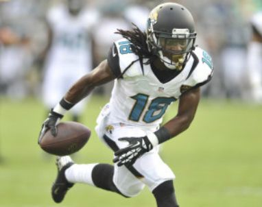 Jaguars_Ace_Sanders_2013_Zpsxu2Vsrzv.jpg