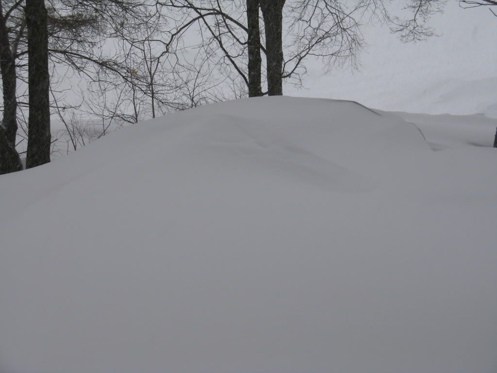 IMG_9928.jpg