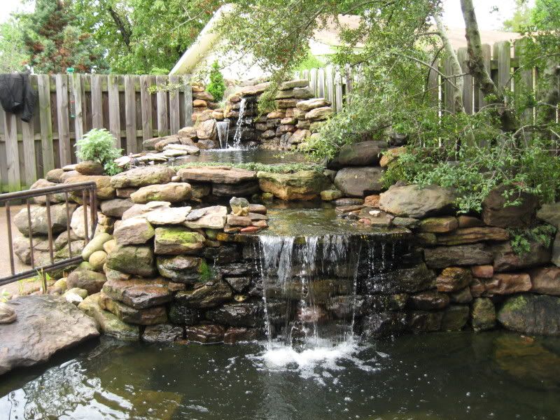 How i hide my filters Garden Pond Forums