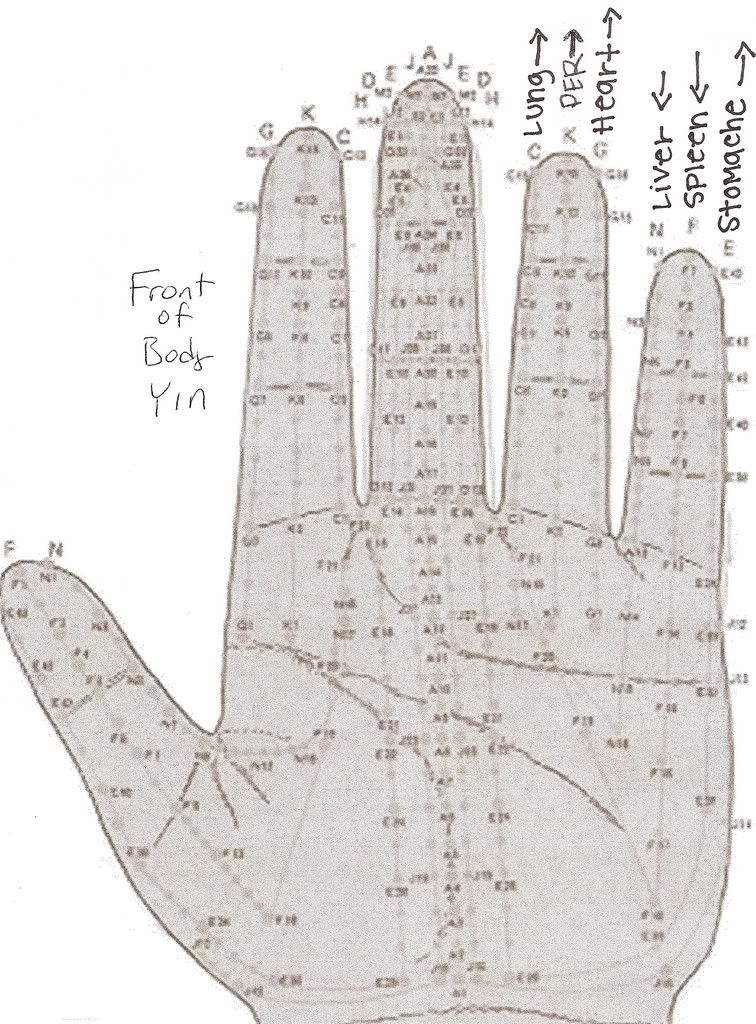 Hand Meridians