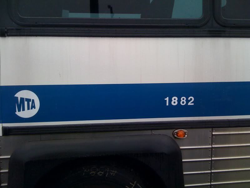 buses.jpg