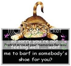 Sorry Not Feeling Well Cat Pictures, Images & Photos | Photobucket